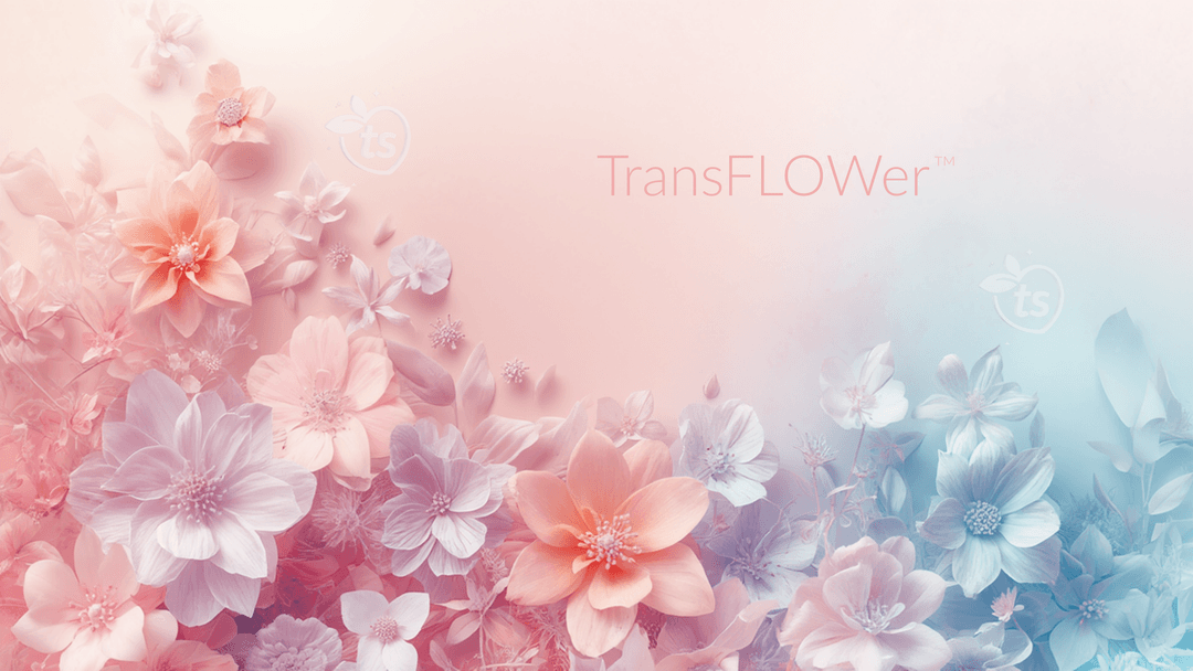 Decouvrir notre univers featured